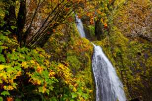 Wahkeena Falls-5016.jpg